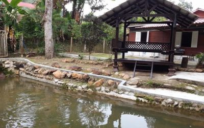 GREEN Season Cottage