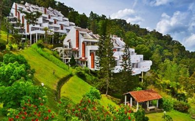 Fraser’s Pine Resort